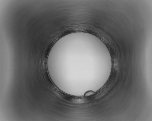 X0000116430514200912081223