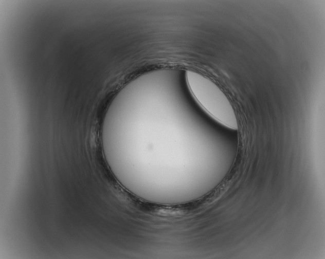 X0000116430515200912081223