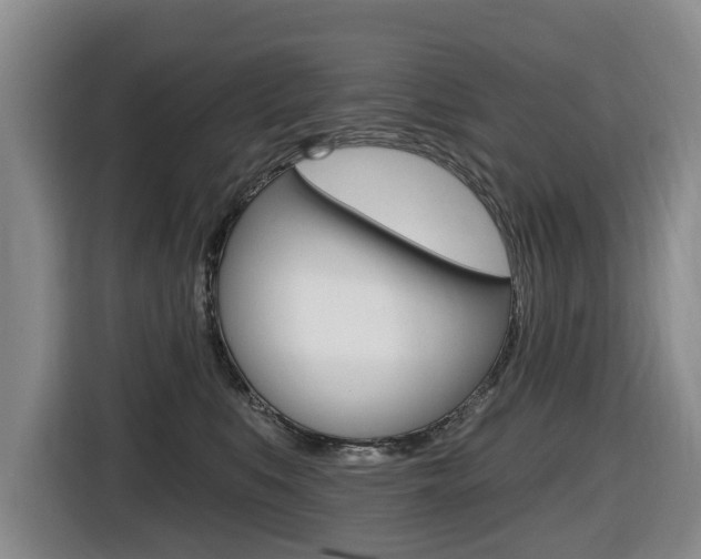 X0000116430519200912081223