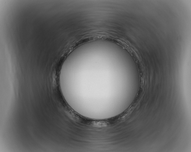 X0000116430520200912081223