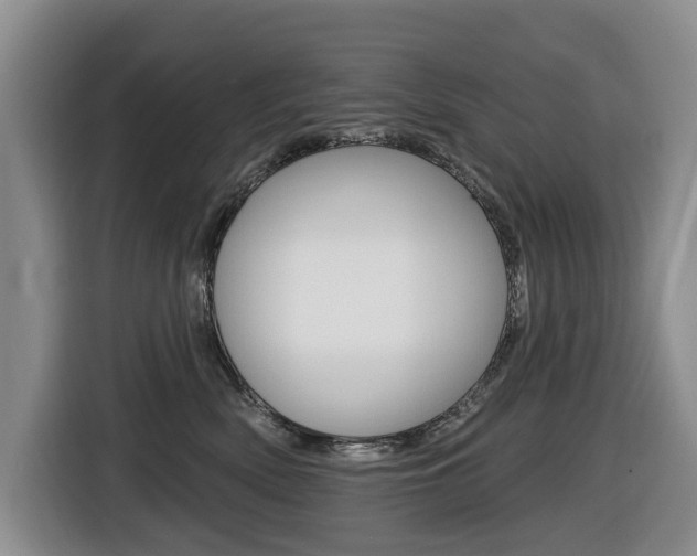 X0000116430522200912081223