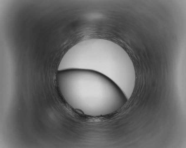 X0000116430523200912081223