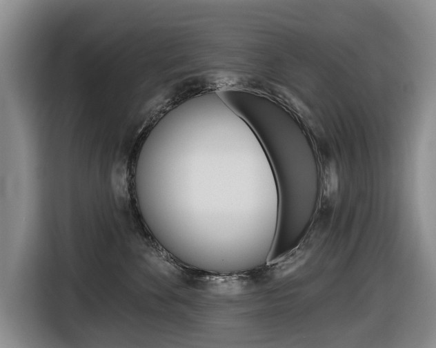 X0000116430524200912081223