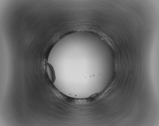 X0000116430525200912081223