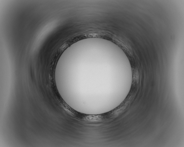 X0000116430526200912081223