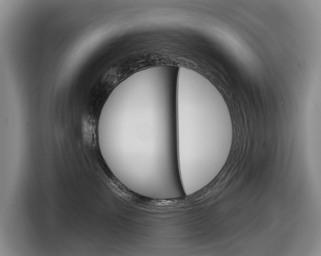 X0000116430527200912081223