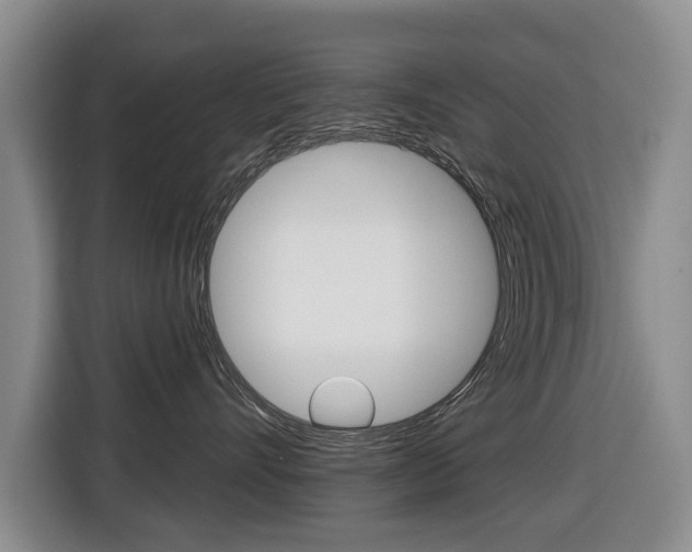 X0000116430528200912081223