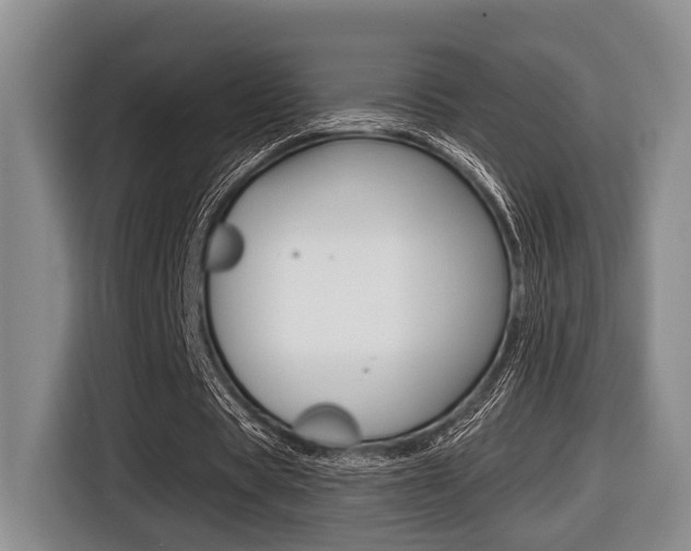 X0000116430529200912081222