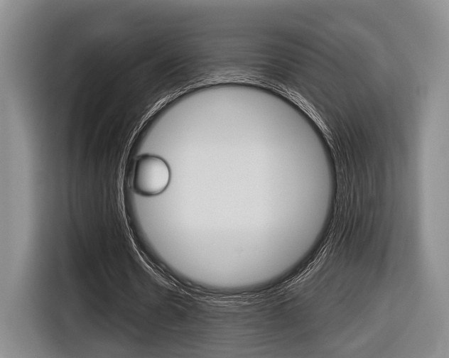 X0000116430530200912081222