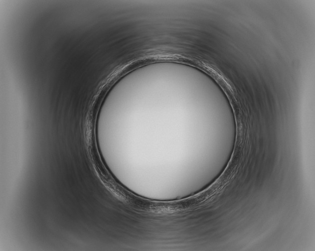 X0000116430533200912081222