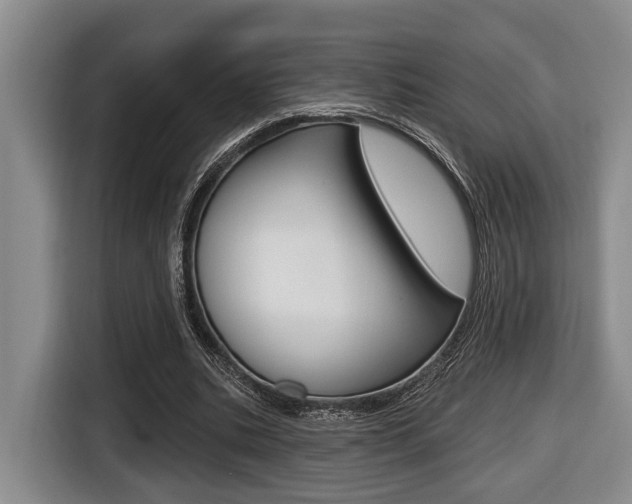 X0000116430535200912081222