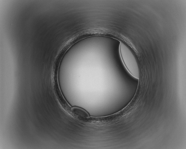 X0000116430538200912081222