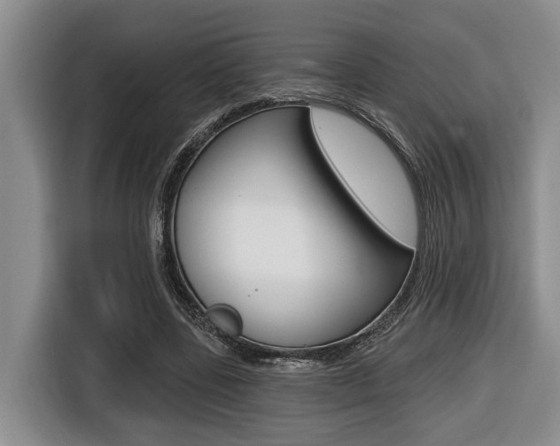 X0000116430539200912081222