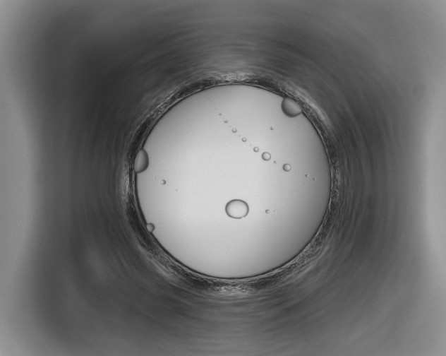 X0000116430541200912081222