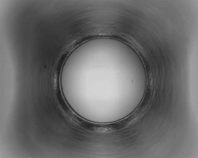 X0000116430542200912081222