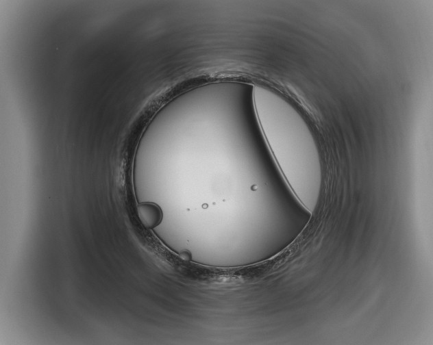 X0000116430543200912081222