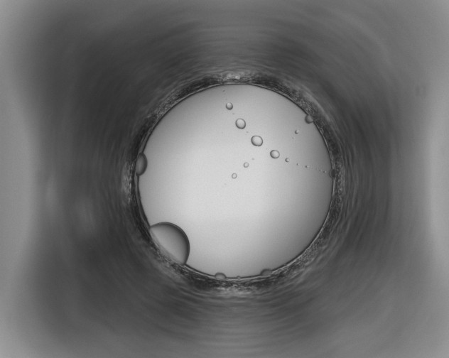 X0000116430545200912081222