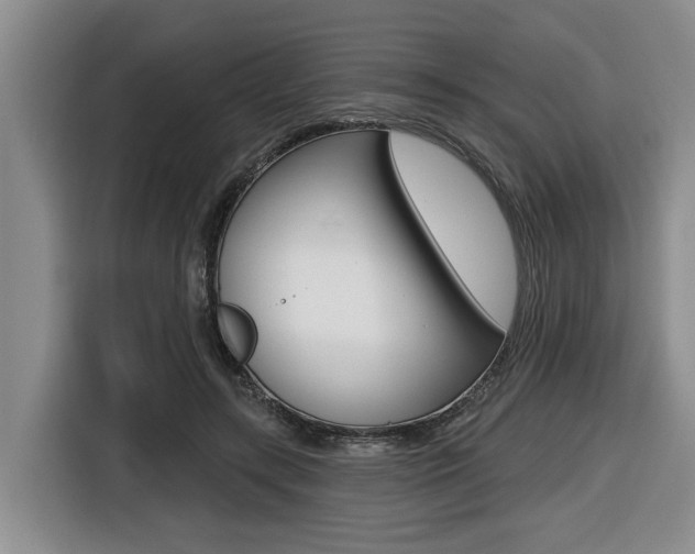 X0000116430547200912081222