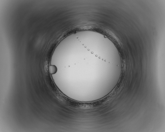X0000116430549200912081222