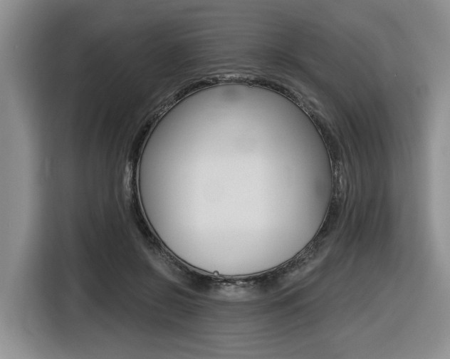 X0000116430550200912081222