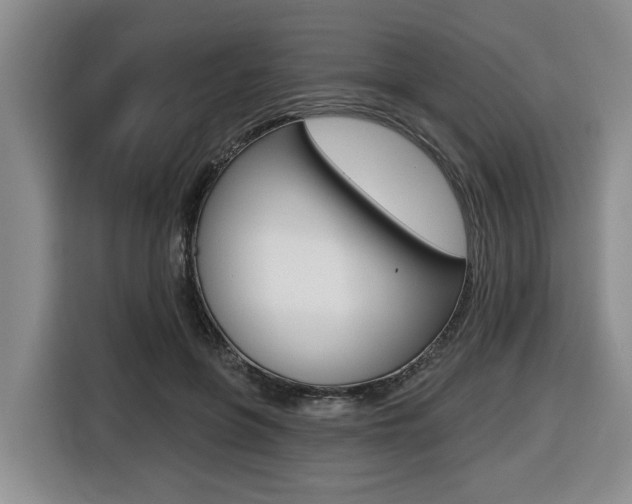 X0000116430551200912081222