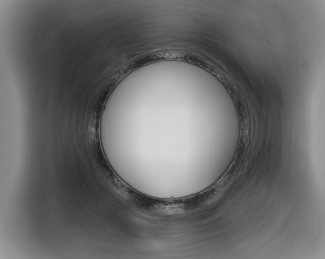 X0000116430553200912081223