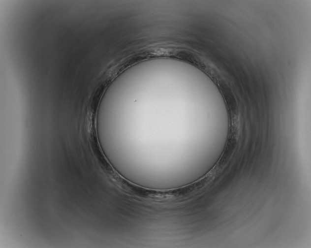 X0000116430554200912081223
