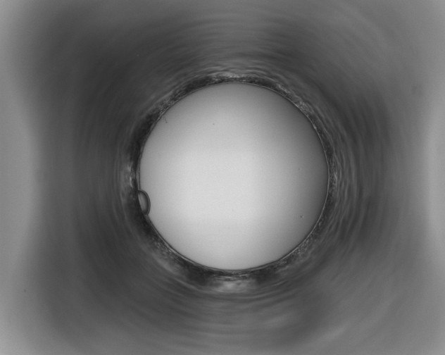 X0000116430555200912081223