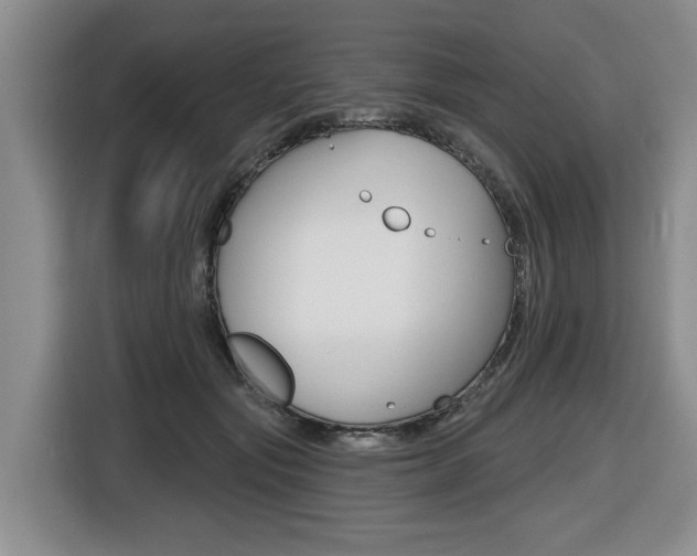 X0000116430557200912081223