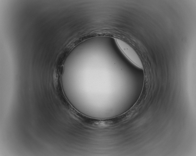 X0000116430558200912081223