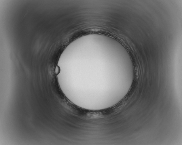 X0000116430559200912081223