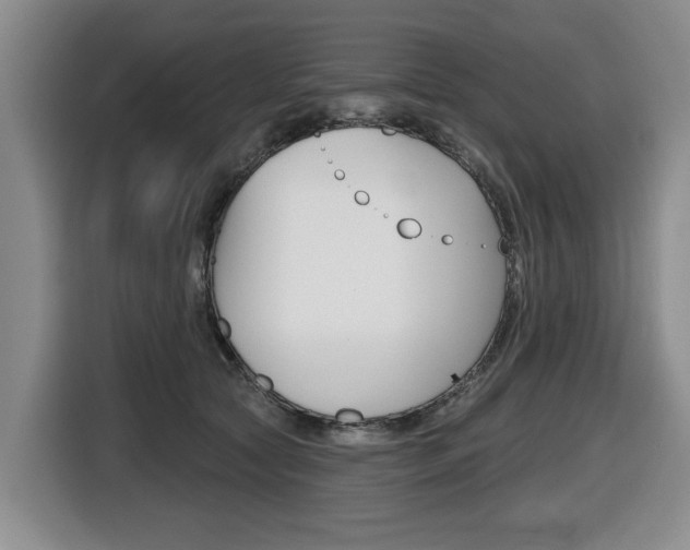 X0000116430561200912081223