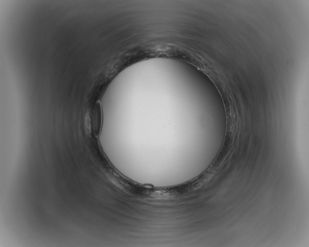 X0000116430562200912081223