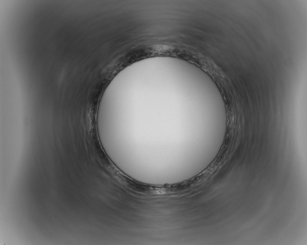 X0000116430565200912081223
