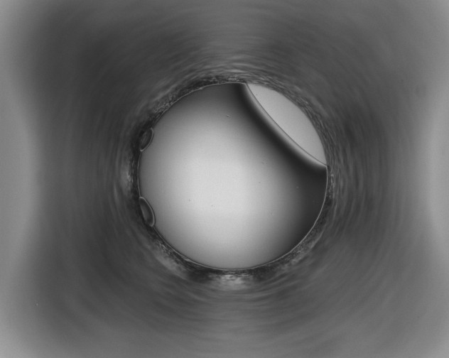 X0000116430566200912081223