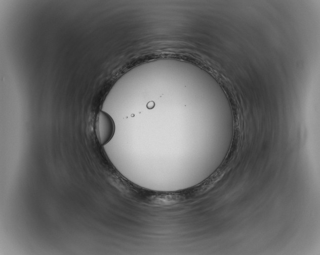 X0000116430567200912081223