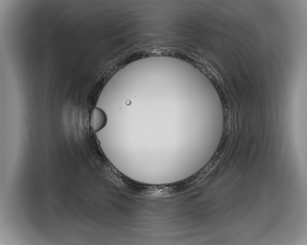 X0000116430569200912081223