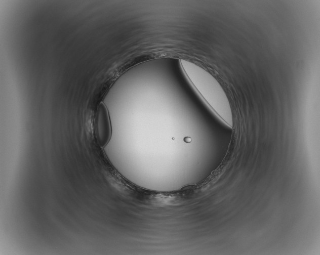 X0000116430570200912081223