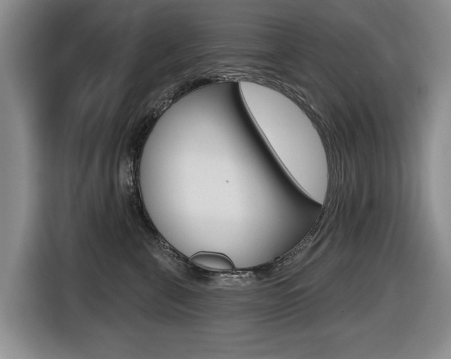 X0000116430571200912081223