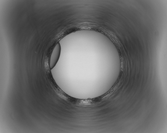 X0000116430573200912081223