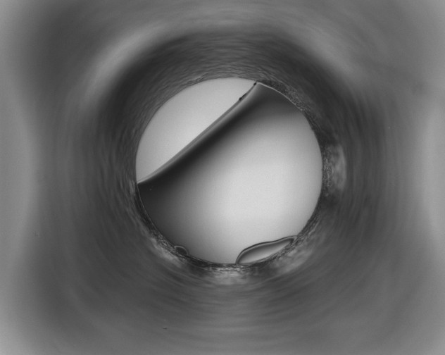 X0000116430574200912081223