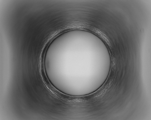 X0000116430578200912081222