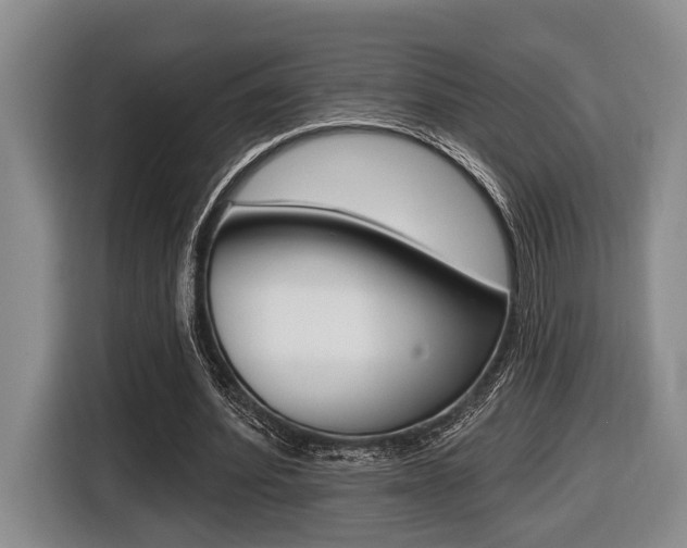 X0000116430580200912081222