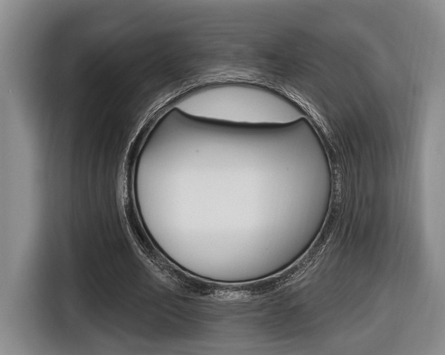 X0000116430582200912081222
