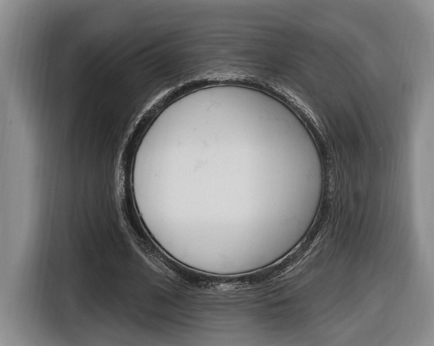 X0000116430584200912081222