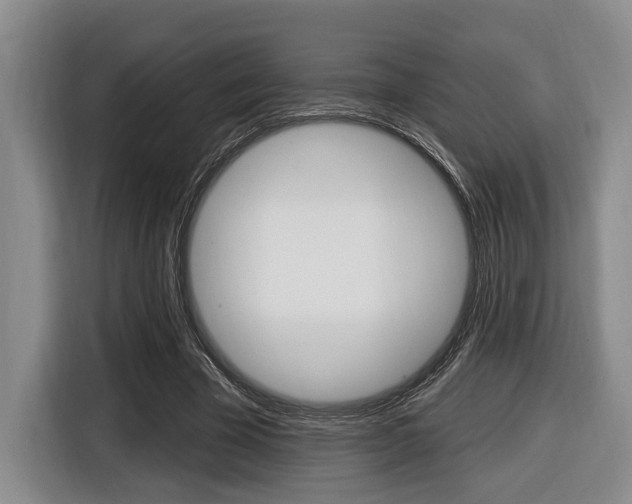 X0000116430585200912081222