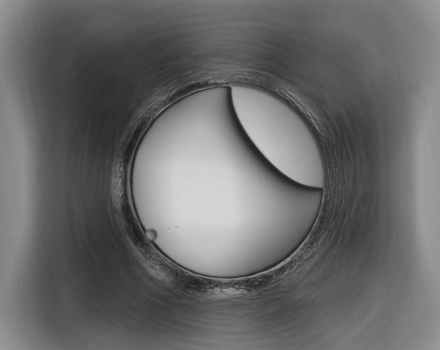 X0000116430586200912081222