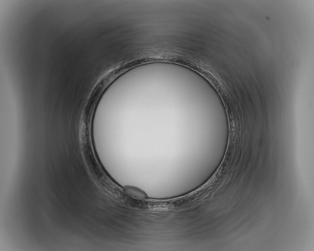 X0000116430587200912081222