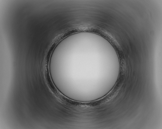X0000116430590200912081222