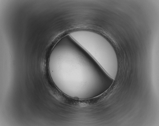 X0000116430592200912081222
